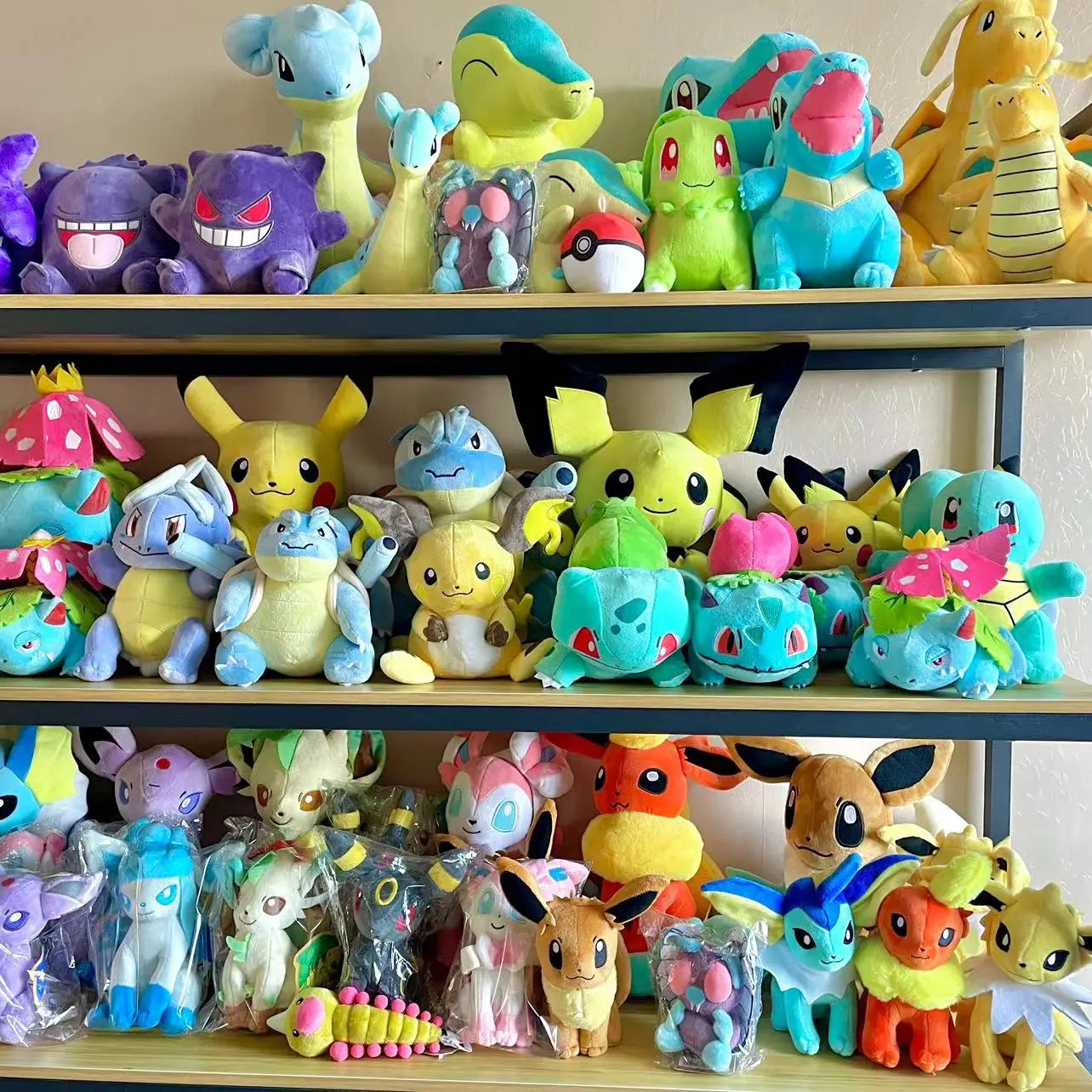 Pokémon Plushies